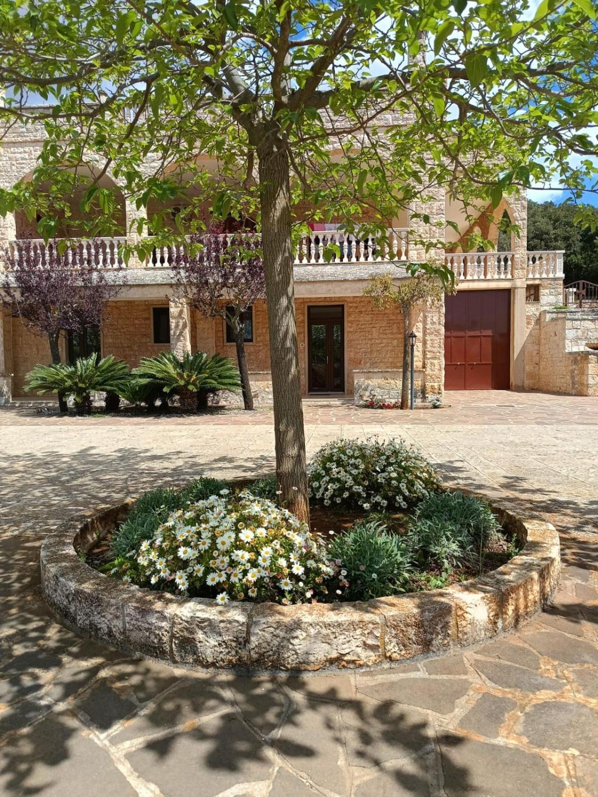 Villa Lisi Selva Di Fasano Eksteriør billede