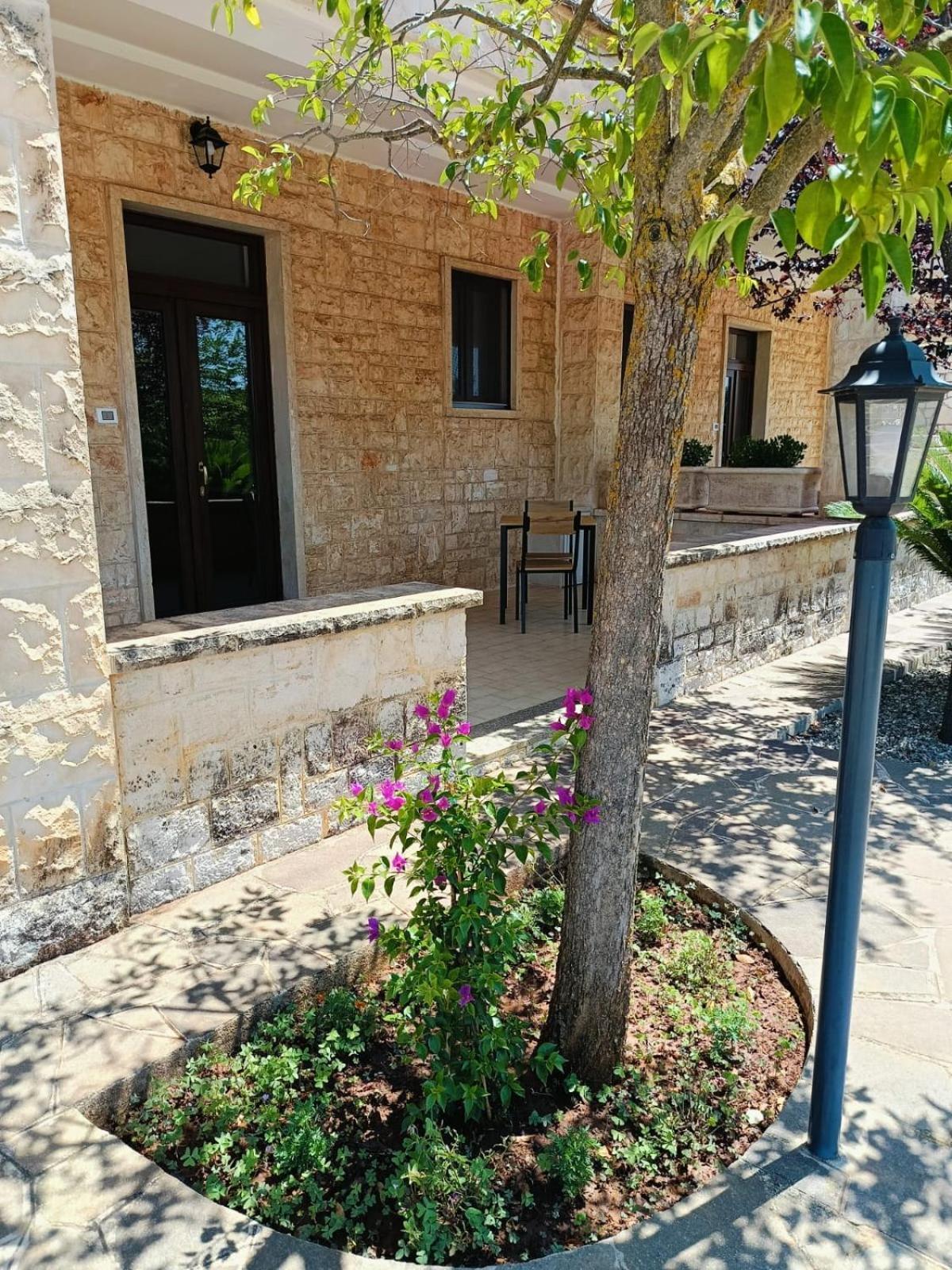 Villa Lisi Selva Di Fasano Eksteriør billede